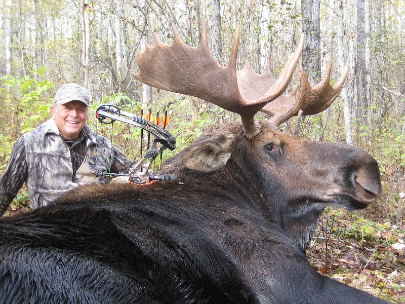 AR13-Davle Goytowski Moose 2013